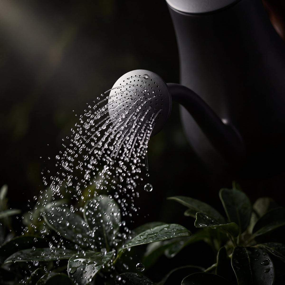 STEEL Collection | Cast Iron Long-Spout Watering Can — Walnut Handle, Brass Rose Sprinkler