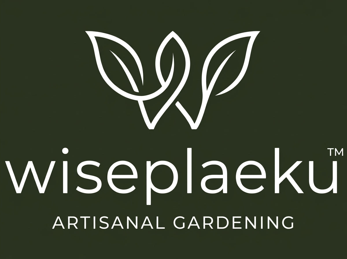 wiseplaeku