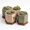 TERRA Collection | Modular Hex Planter — Hand-Carved Geometric Clay Pot Set with Terracotta Trays