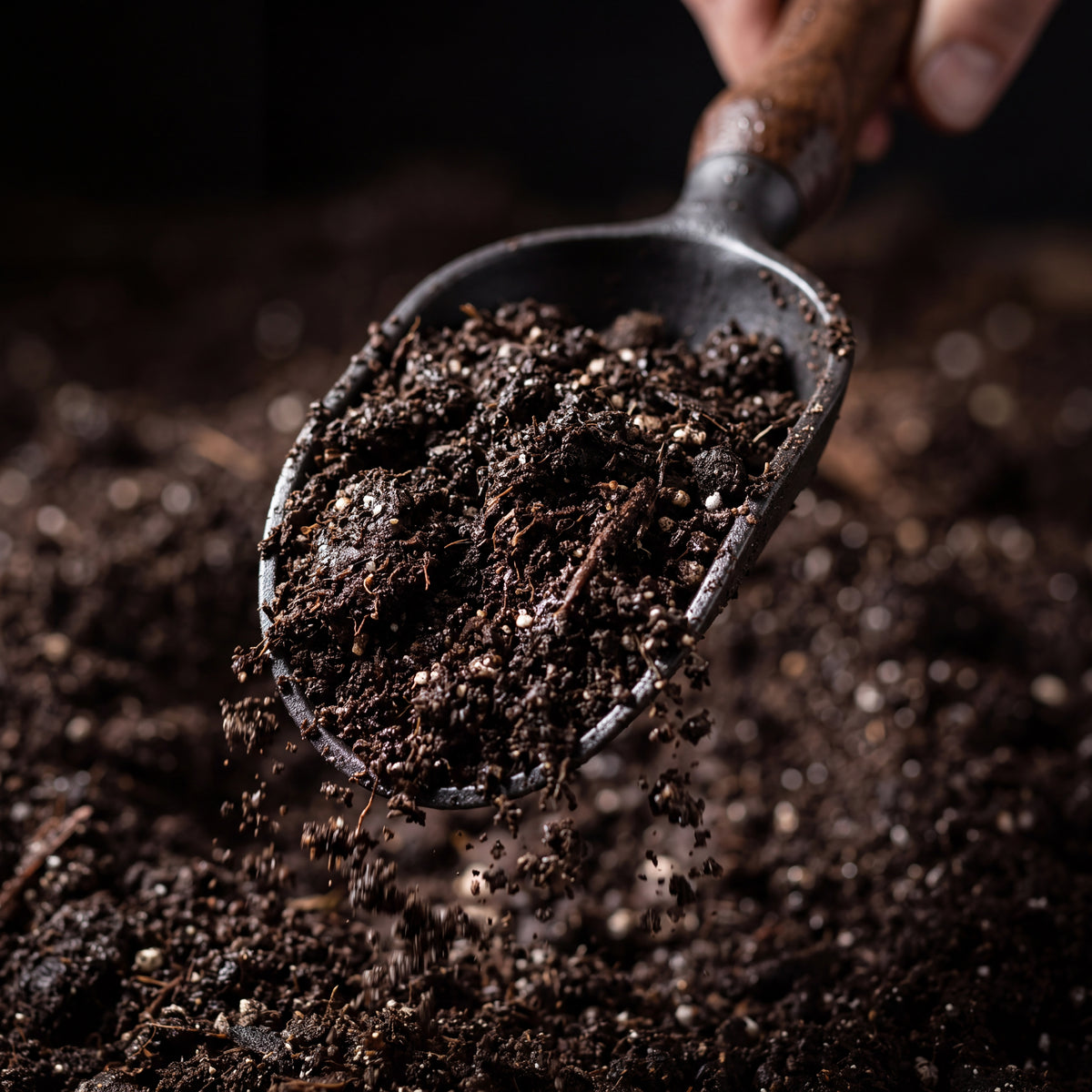 STEEL Collection | Cast Iron Soil Scoop — Walnut Handle, Deep Bowl Forged Garden Scoop for Potting & Repotting