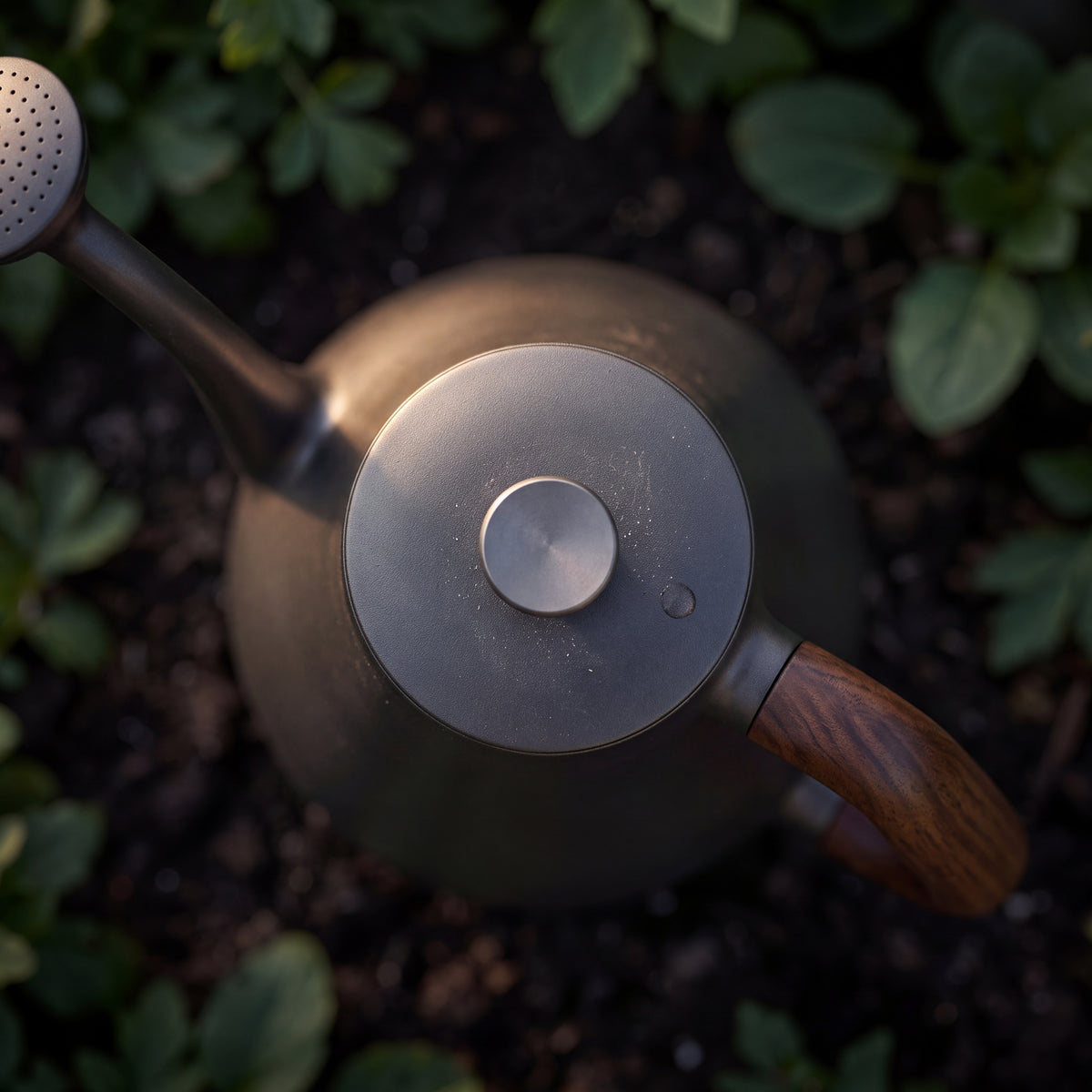 STEEL Collection | Cast Iron Long-Spout Watering Can — Walnut Handle, Brass Rose Sprinkler